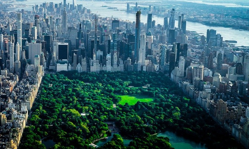 Central park à new york