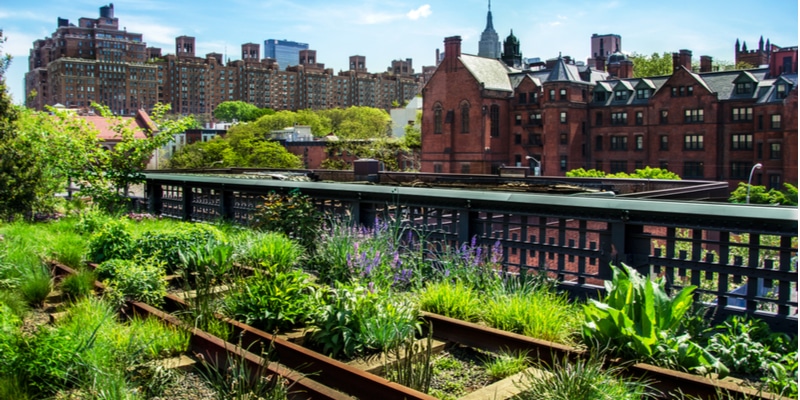 The High Line New York