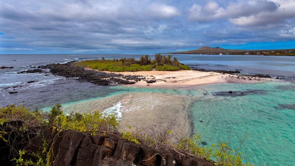 galapagos équateur