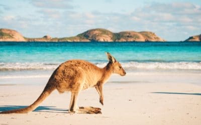Organiser un voyage sur mesure pour partir en Australie