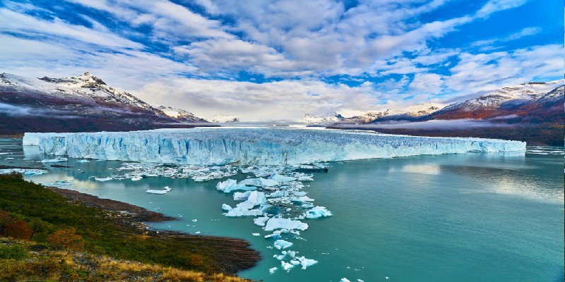Argentine