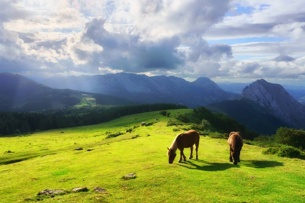 road trip pays basque