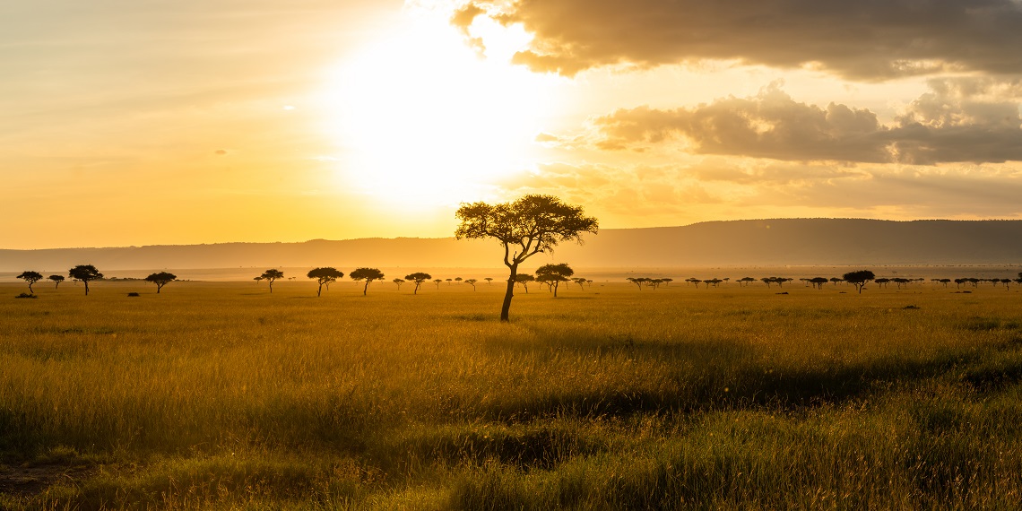 Safari Serengeti