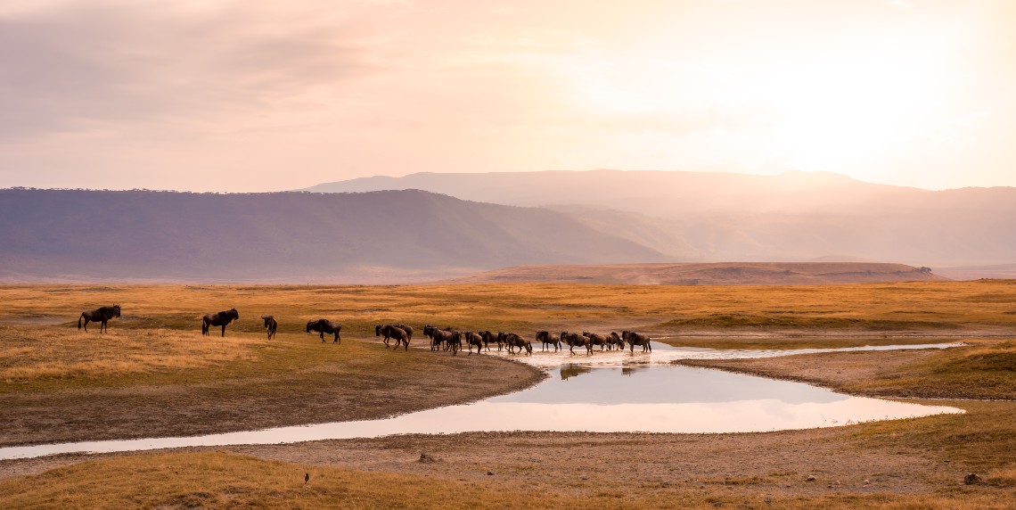 visiter la tanzanie