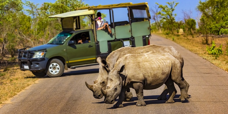 Parc national Kruger