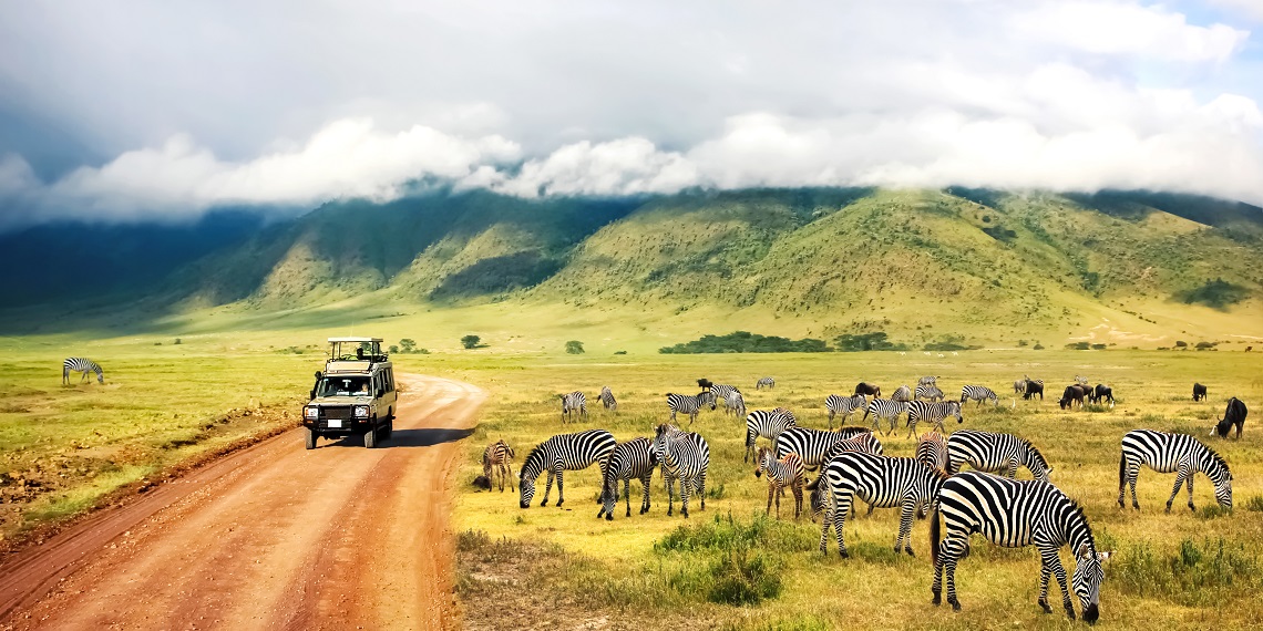 Safari en Tanzanie