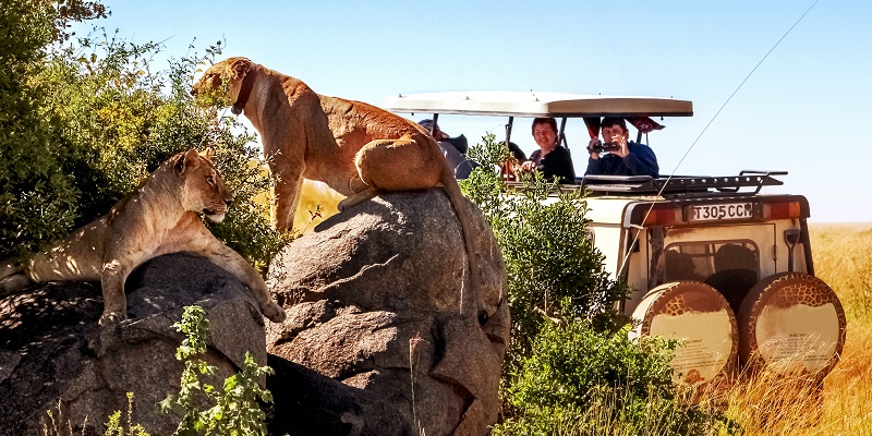 Safari Tanzanie