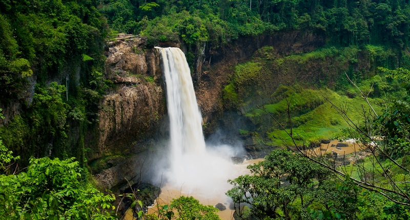 Voyage au Cameroun