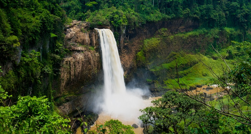 Voyage au Cameroun