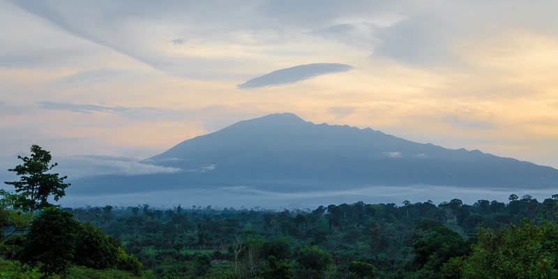 Voyage au Cameroun