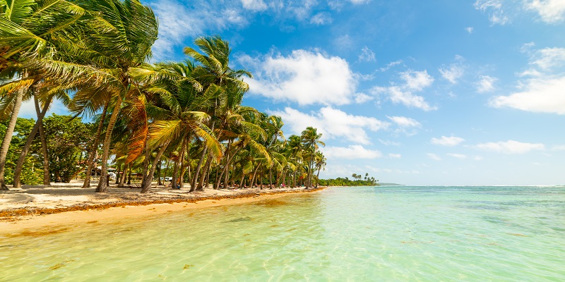 Plage de Bois Jolan - Sainte-Anne