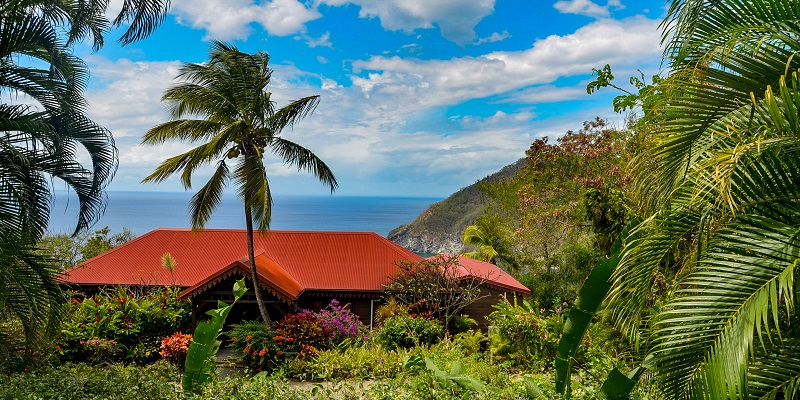 Excursion en Guadeloupe