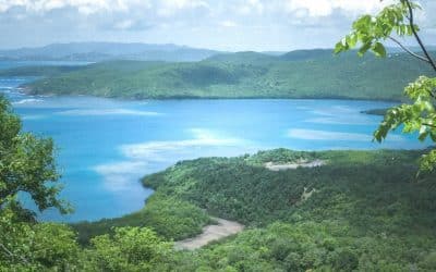 Louer un catamaran en Martinique pour un séjour de 10 jours