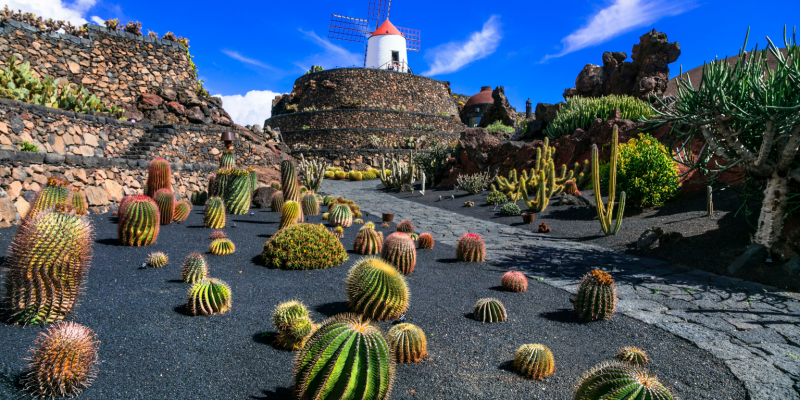 séjour à lanzarote jardin de cactus