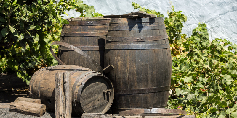 séjour à lanzarote vignoble