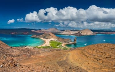 Voyager aux Galapagos : informations pratiques