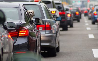 Week-end de Pentecôte : forte affluence sur les routes de France