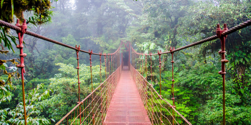 écotourisme Réserve de Monteverde