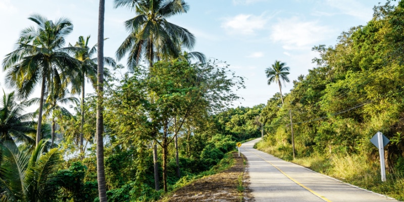 que faire à la réunion