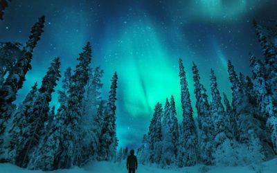 Voyage en Laponie : 7 activités incontournables à faire en hiver