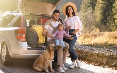 Voyage en voiture : les accessoires indispensables pour le réussir