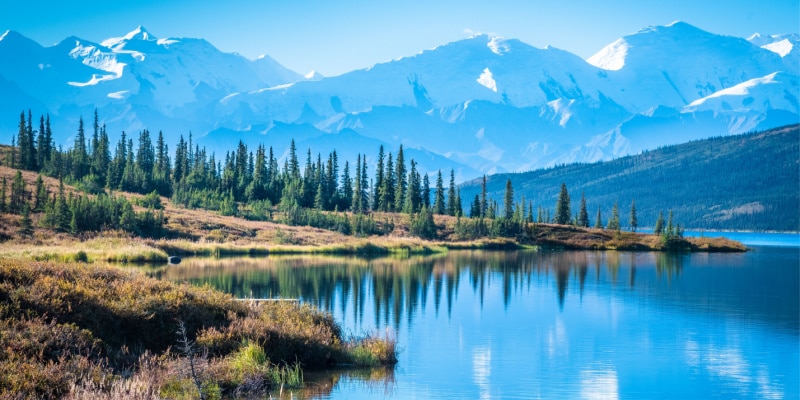 parcs nationaux américains denali