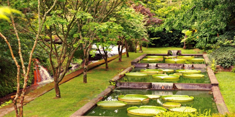 açores parc terra nostra