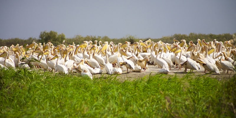sejour au senegal