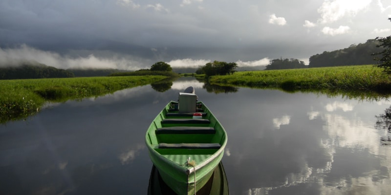 séjour en guyane marais de kaw