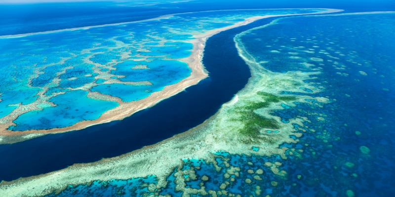 barrière de corail réserves naturelles