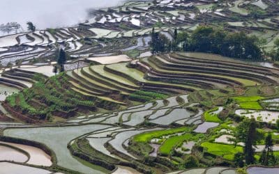 Découvrir les rizières de Yuanyang