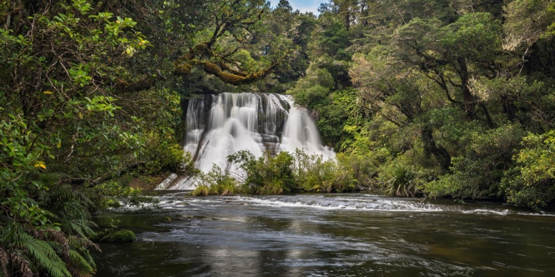 te urewera réserves naturelles