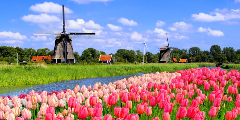 voyager au printemps en hollande