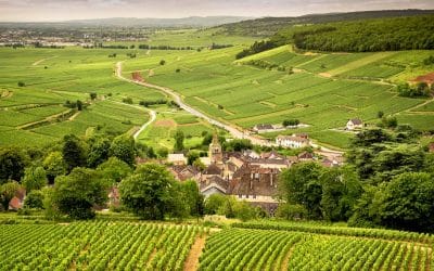 Parcourir les routes des vins en France