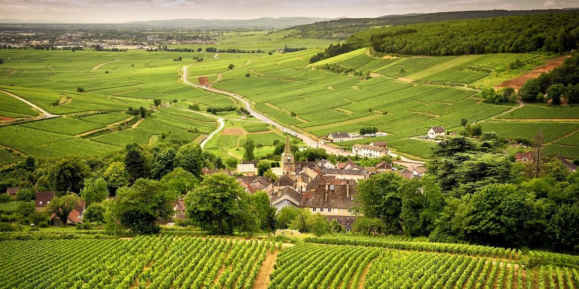 les routes des vins