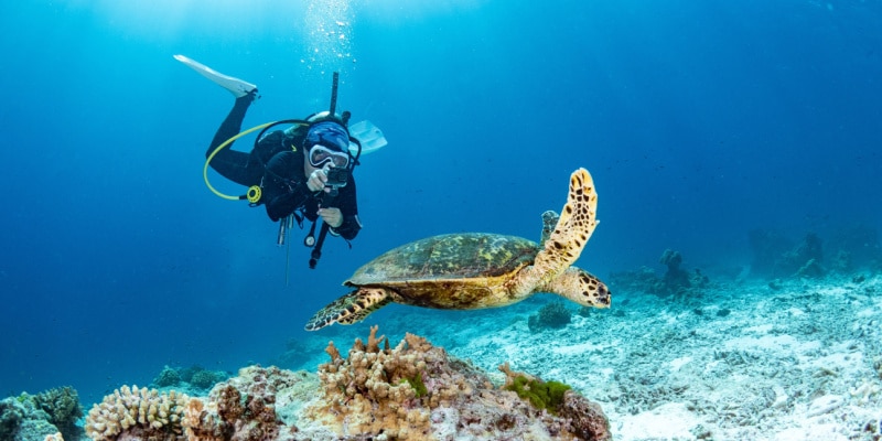 voyage d'aventure plongée sous-marine