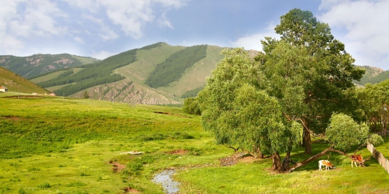 voyage en Mongolie parcs naturels