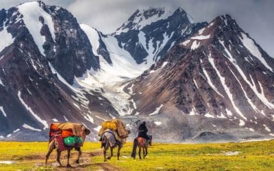 Voyage en Mongolie : une aventure dans les steppes et les traditions nomades