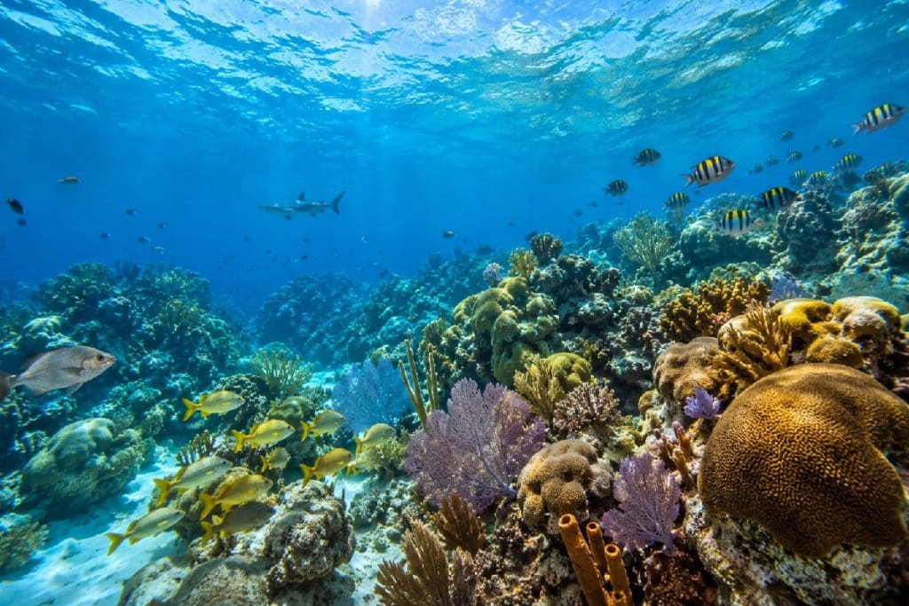 voyage à Belize