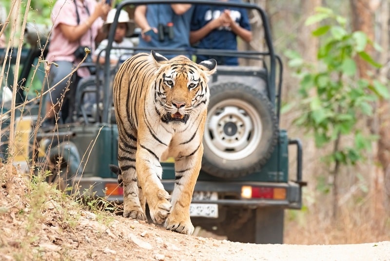 Séjour en Inde
