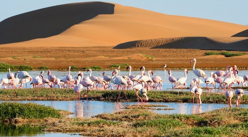 Voyage en Namibie