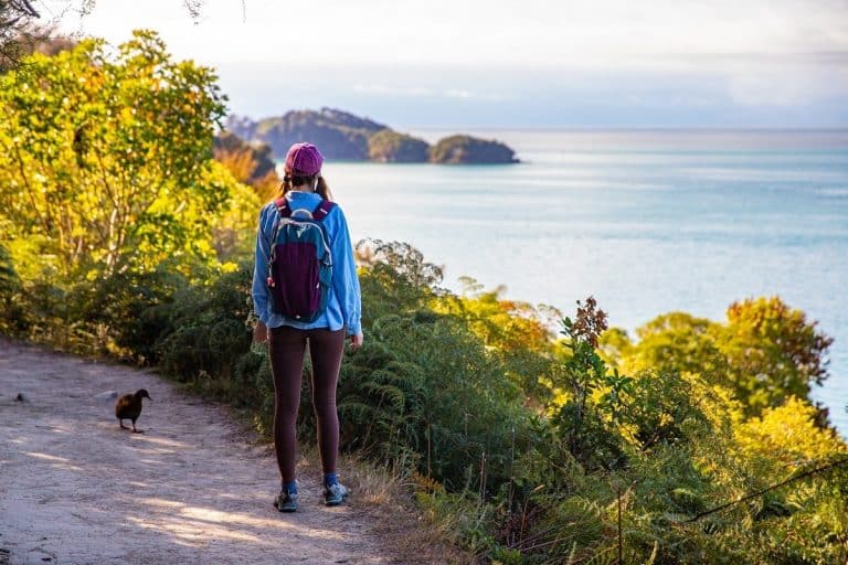 Voyage en Tasmanie