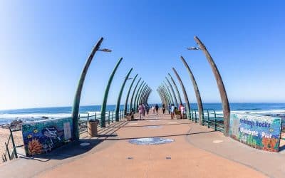 3 raisons d’aller en vacances d’hiver en Afrique du Sud