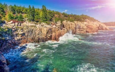 Explorer la côte acadienne : escapade authentique entre mer, nature et traditions