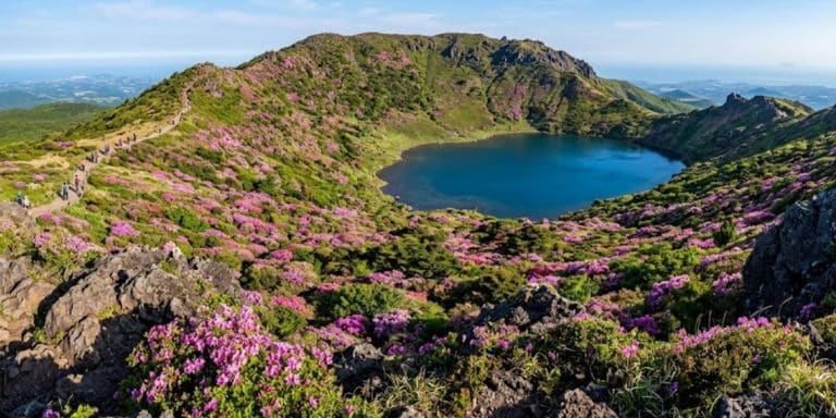 Île de Jeju